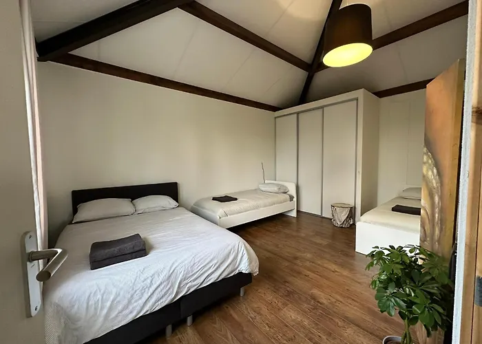 Groot Vakantiehuis Nabij Amsterdam Inclusief Jacuzzi